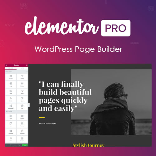 Elementor-PRO-WordPress-Page-Builder